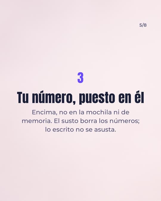 Lámina 5