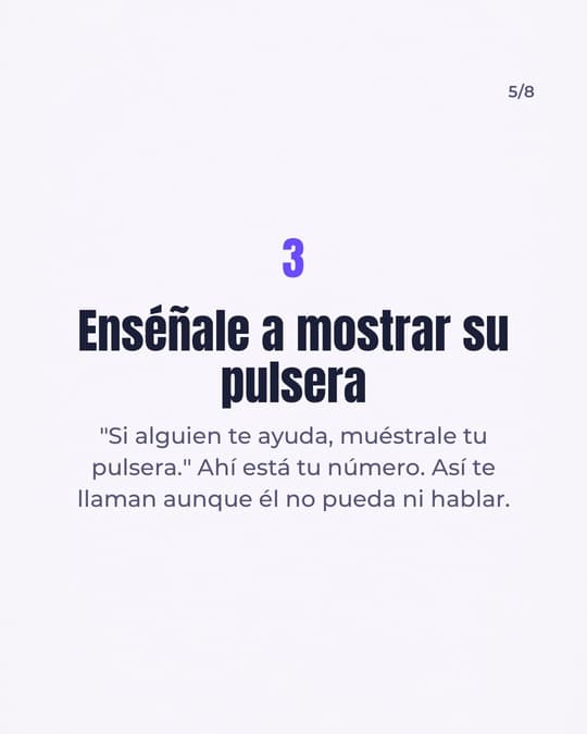 Lámina 5