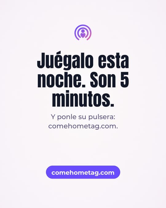 Lámina 8