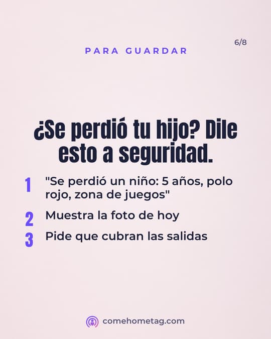 Lámina 6