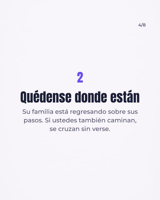 Lámina 4