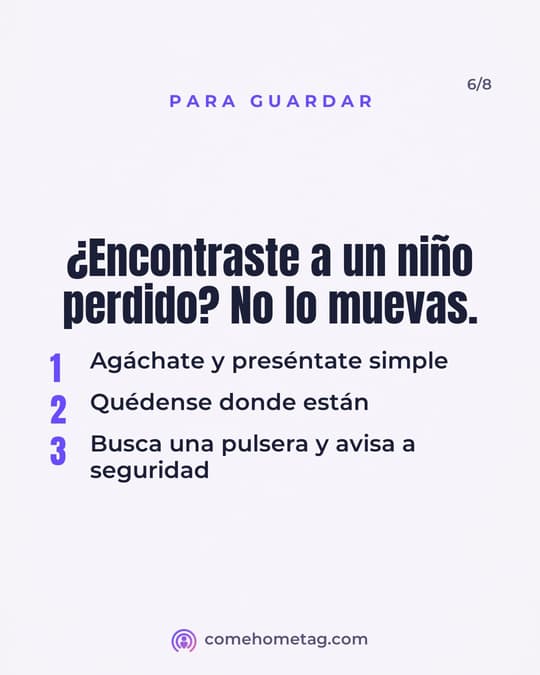 Lámina 6