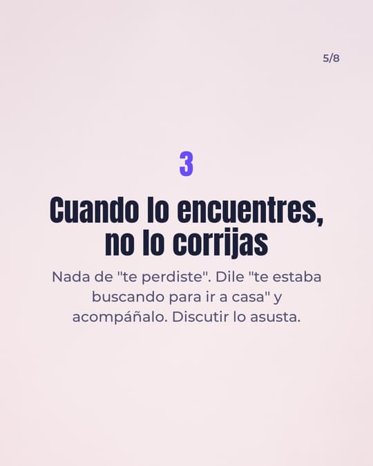 Lámina 5