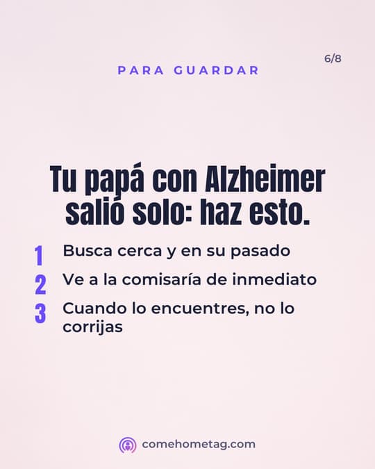 Lámina 6
