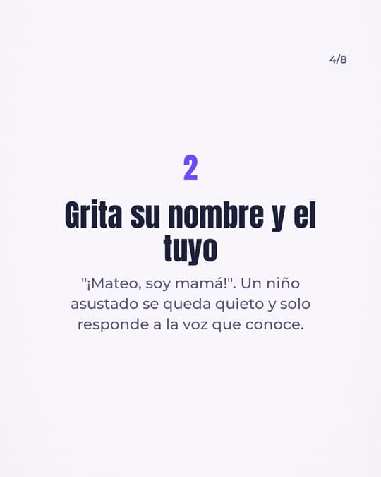 Lámina 4