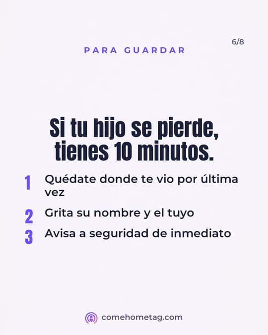 Lámina 6