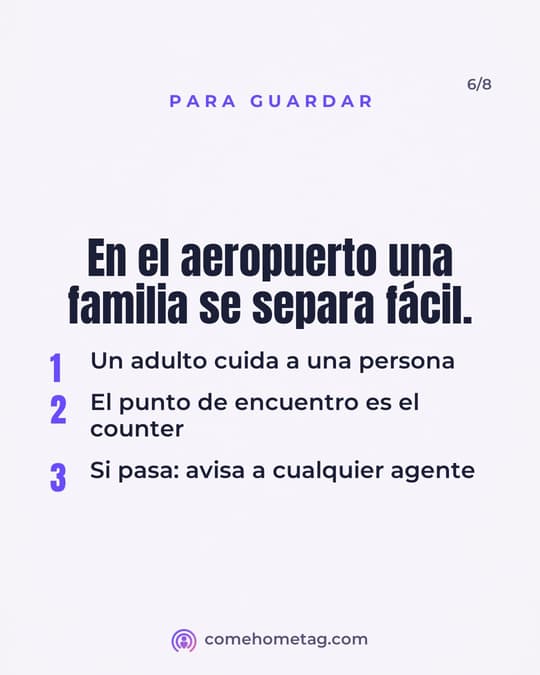 Lámina 6