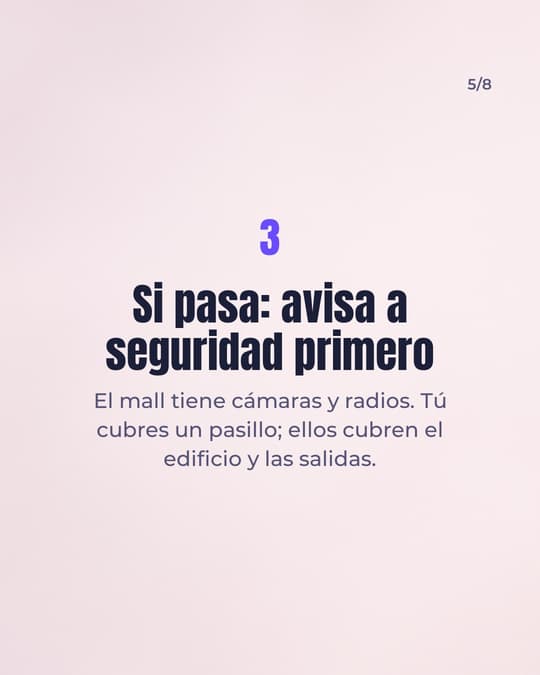 Lámina 5
