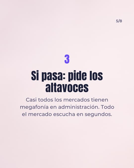 Lámina 5