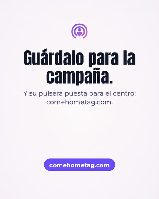 Lámina 8