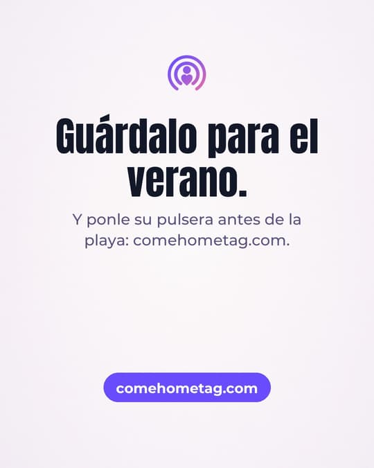 Lámina 8