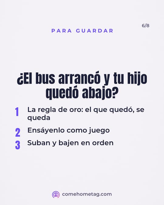 Lámina 6
