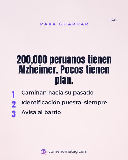 Lámina 6