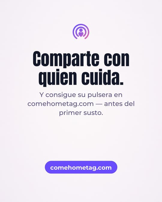 Lámina 8