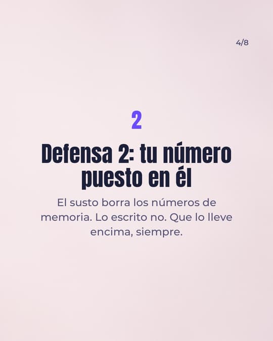 Lámina 4
