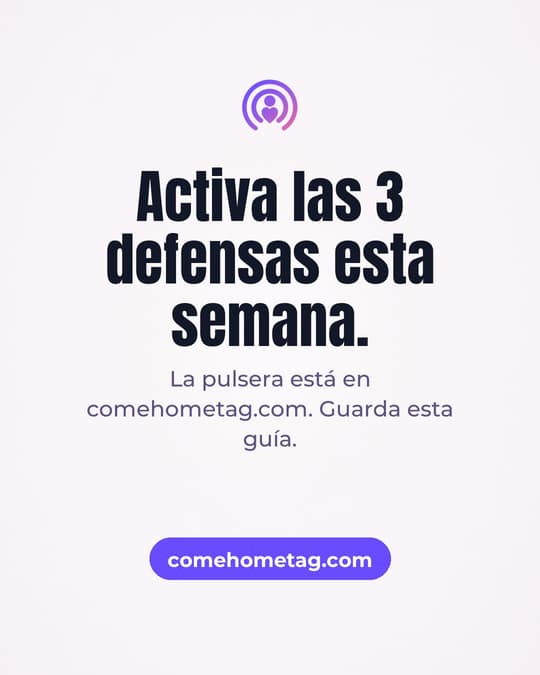 Lámina 8