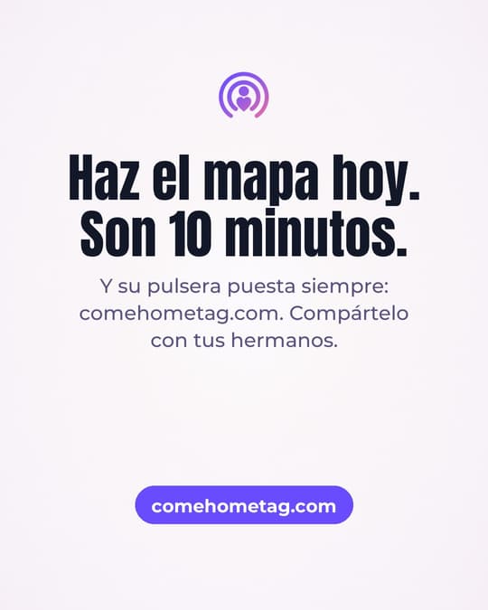 Lámina 8