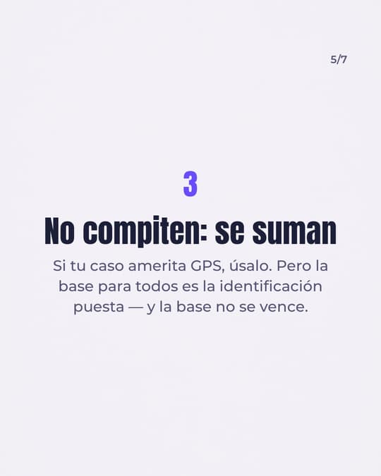 Lámina 5