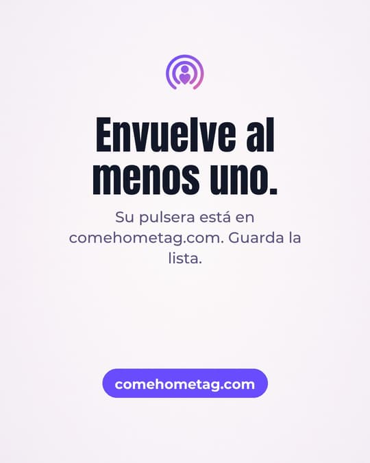 Lámina 8