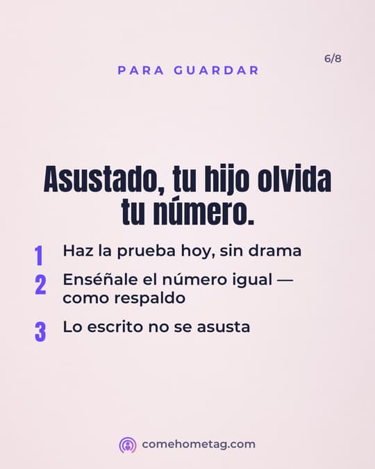 Lámina 6