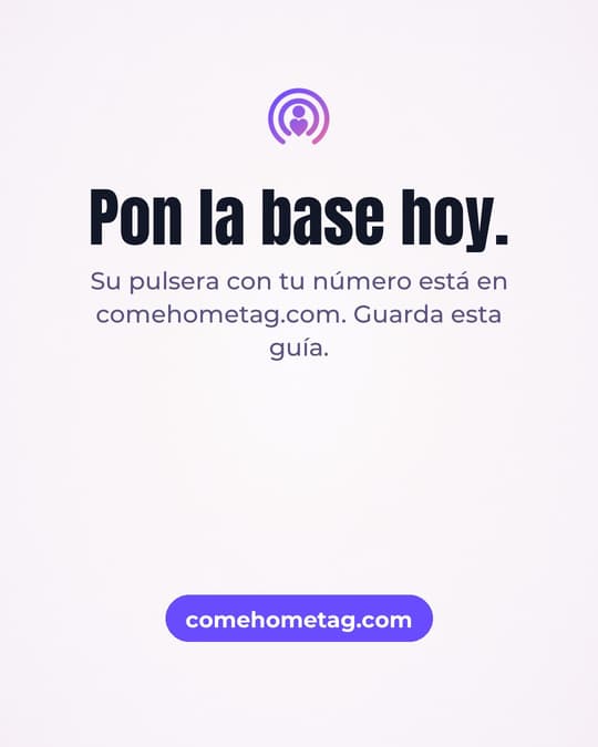 Lámina 8
