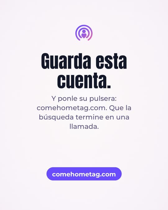 Lámina 8