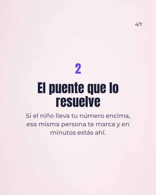 Lámina 4