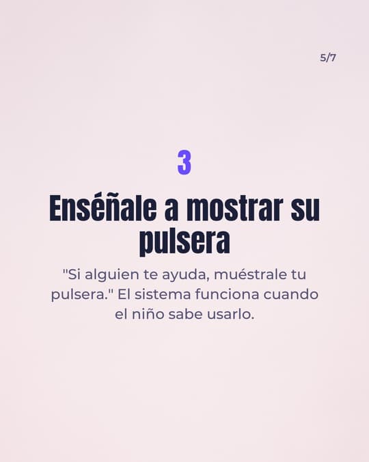 Lámina 5