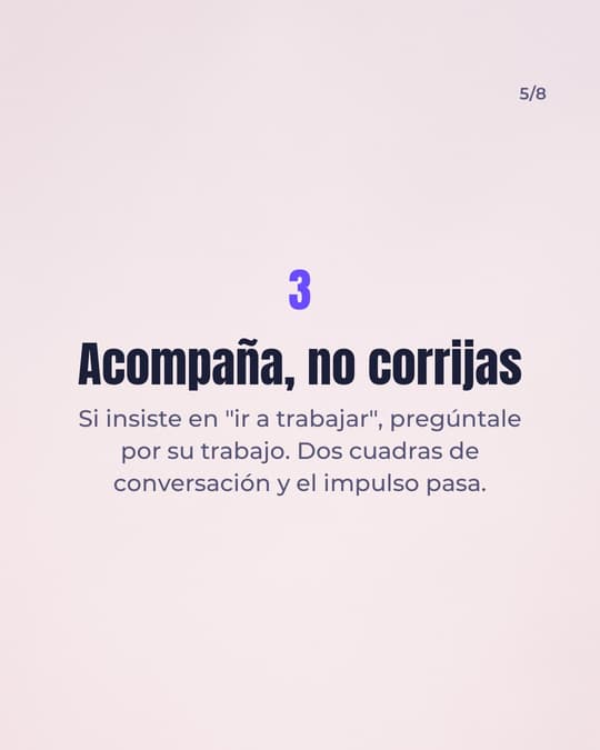 Lámina 5