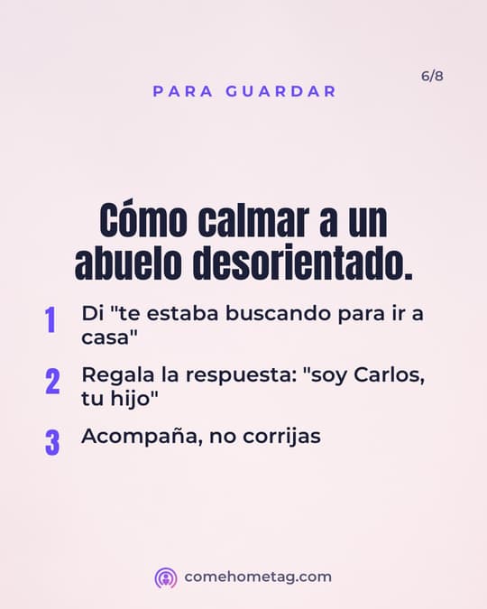 Lámina 6