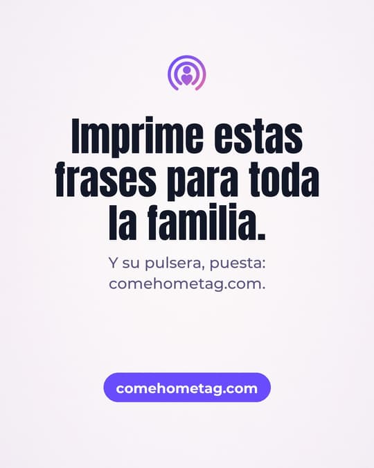 Lámina 8