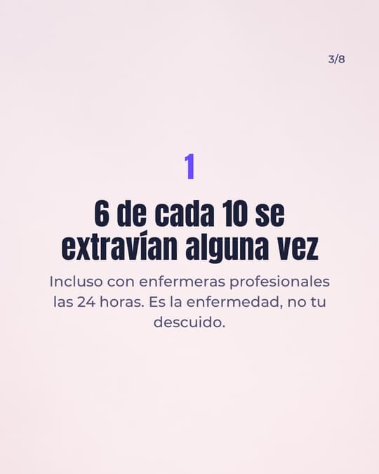 Lámina 3
