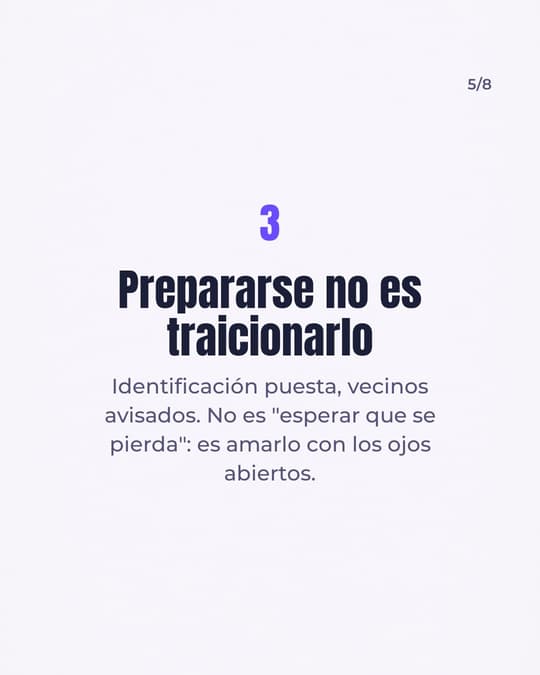 Lámina 5