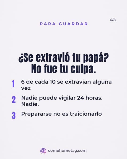 Lámina 6