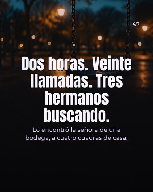 Lámina 4