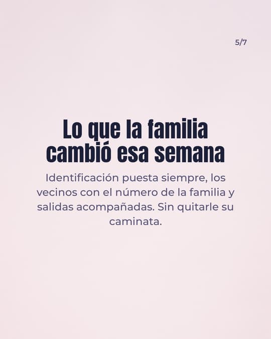 Lámina 5