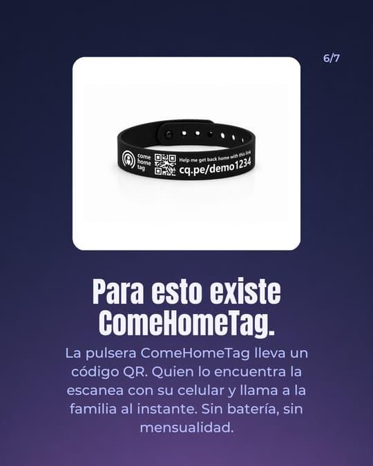 Lámina 6
