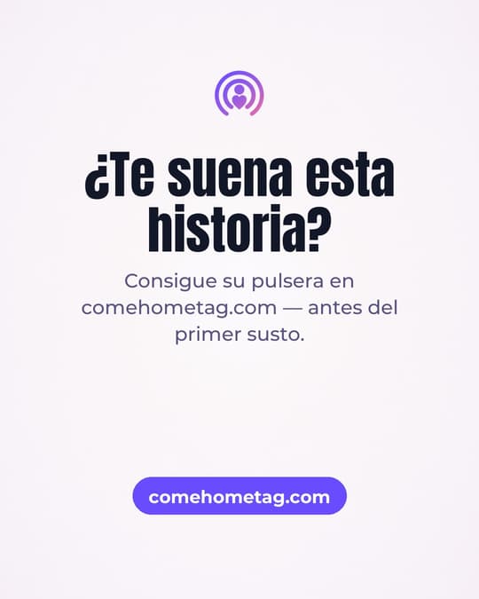 Lámina 7