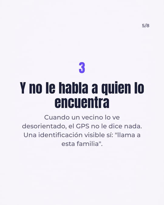 Lámina 5
