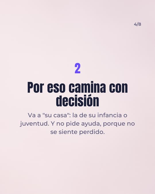 Lámina 4