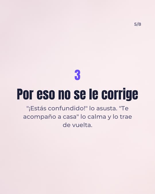 Lámina 5