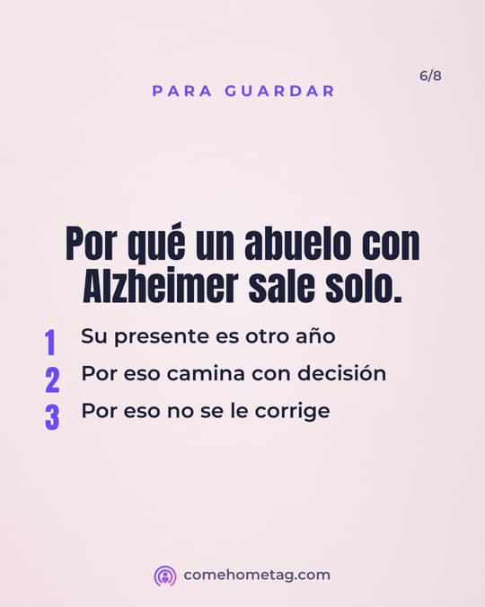 Lámina 6
