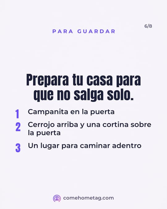 Lámina 6
