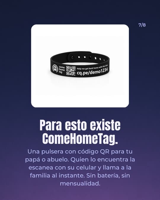 Lámina 7