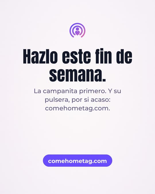 Lámina 8