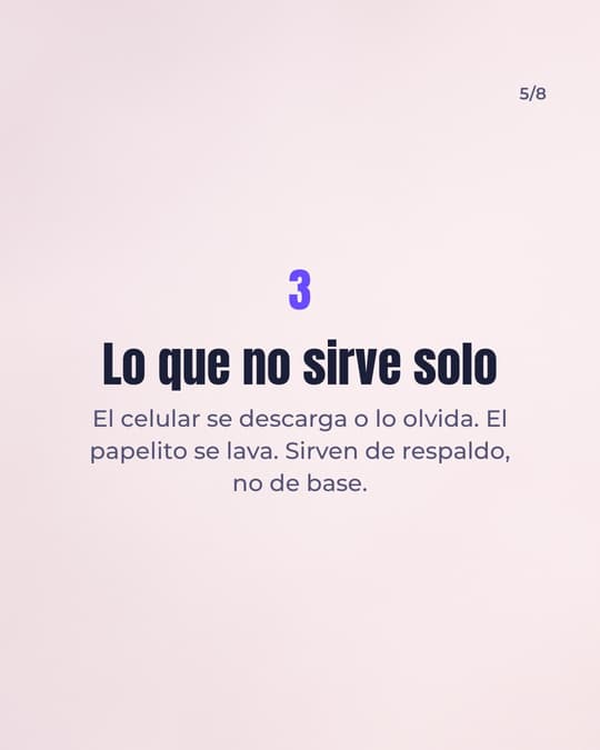 Lámina 5