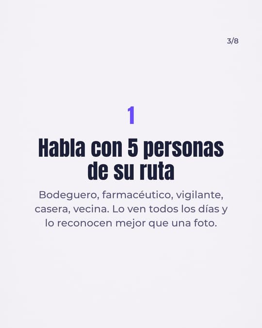 Lámina 3