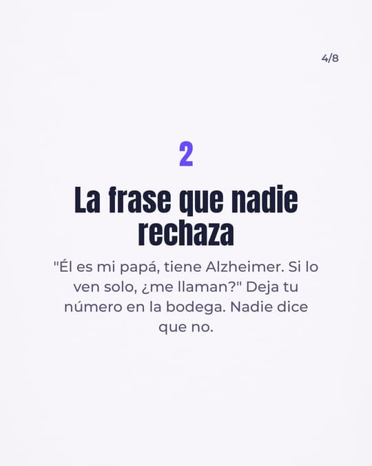 Lámina 4