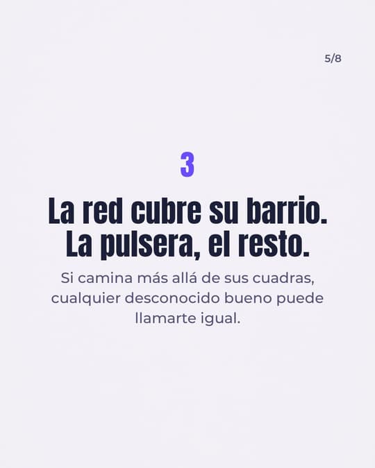 Lámina 5