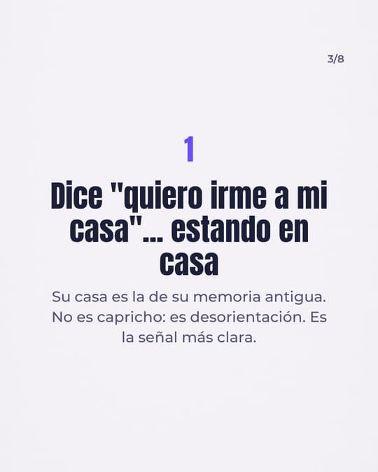 Lámina 3